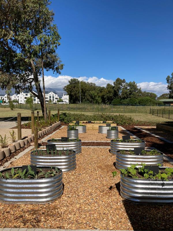 To Let 3 Bedroom Property for Rent in Somerset West Western Cape
